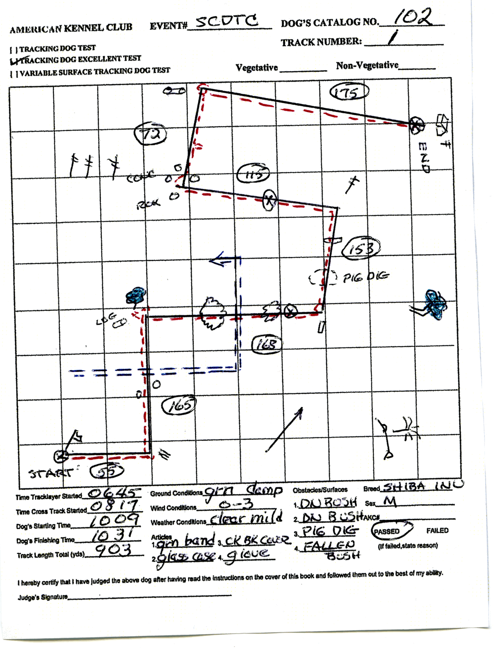 Sample TDX test map.